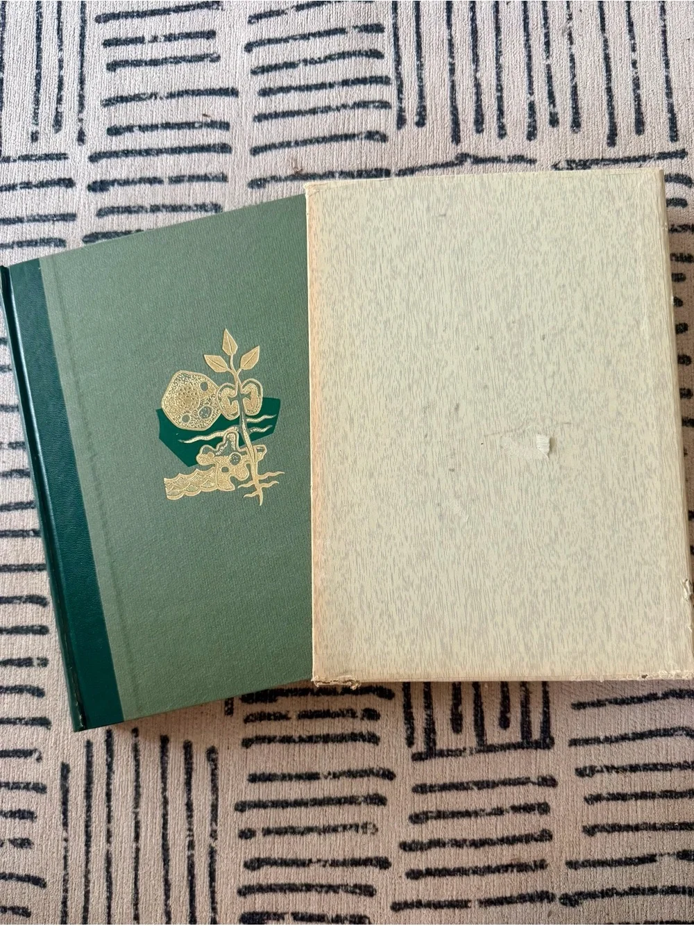 Vintage The Origin of Species by Charles Darwin